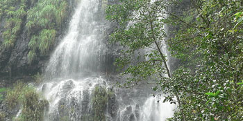 Amboli hillstation, Travel Destination Amboli hillstation, Tour Destination Amboli, classic view of Amboli, Amboli Travel, Amboli, Resort at Amboli, Hotel in Amboli, Hotels, Resorts, near Pune, Mumbai